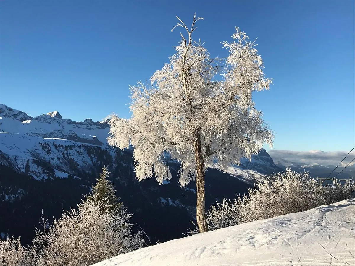 Appart hôtel Luxury 2 Bedroom Apartment With View Of Mont Blanc Combloux
