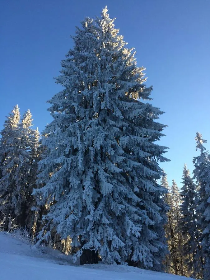 Luxury 2 Bedroom Apartment With View Of Mont Blanc Combloux Appart hôtel