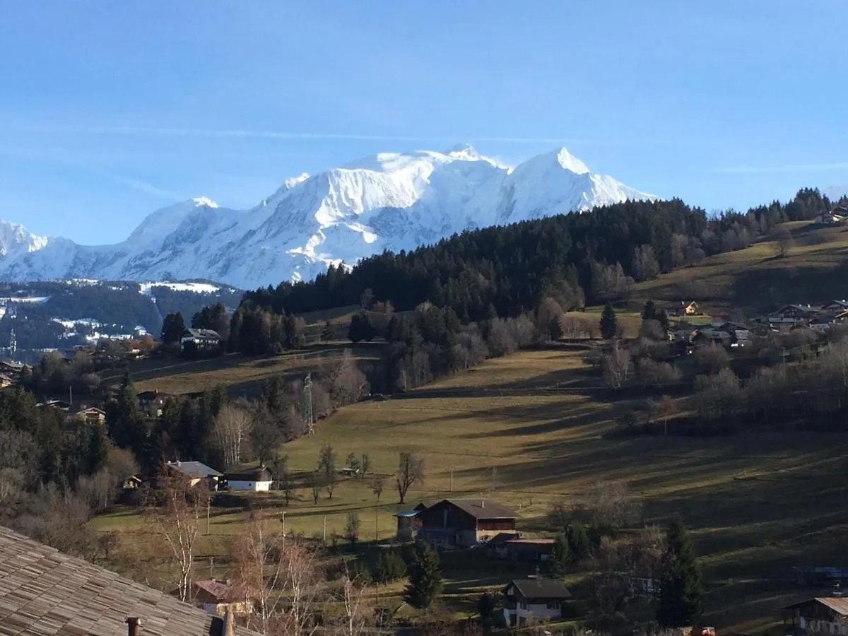 Luxury 2 Bedroom Apartment With View Of Mont Blanc Combloux Aparthotel